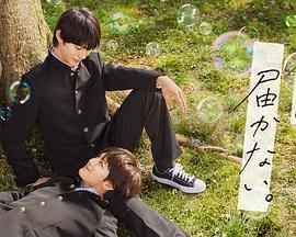 泛页面关键词3204